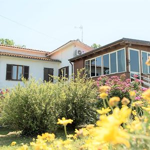 B&B Le Cinque Querce